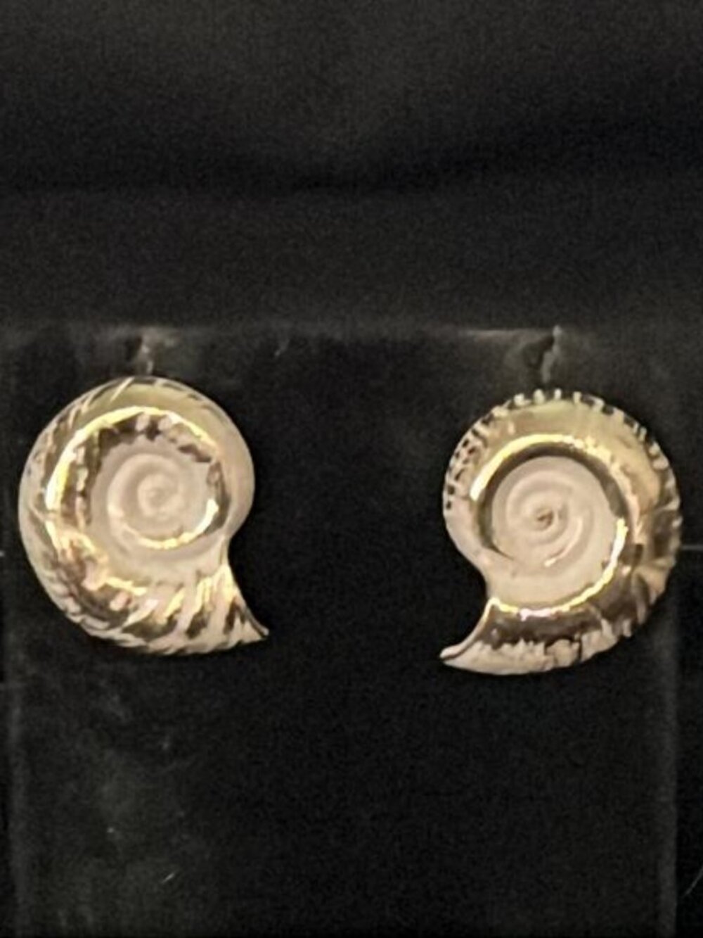 Gold Tone White Frosted Seashell Earrings